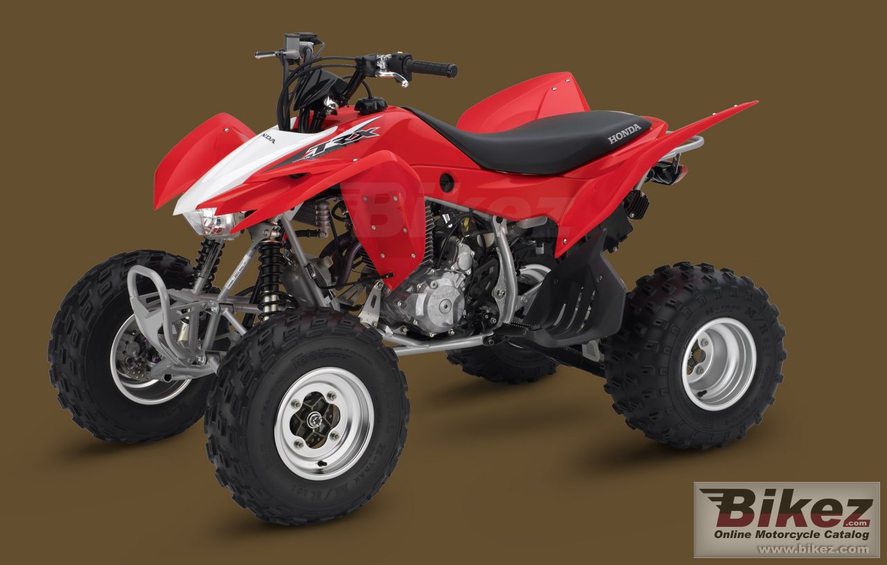 Fanale Posteriore Originale Per Honda TRX400EX / TRX400X (2008-2013) – Ricambio OEM Facile Da Installare